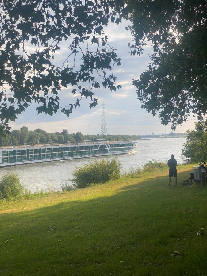 Ferienvilla Whirlpool Fasssauna Direkt Am Rhein Gotterswickerhamm Dış mekan fotoğraf